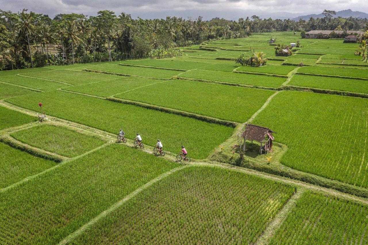 Four Seasons Resort Bali At Sayan Ubud Exterior foto